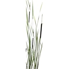 Horn textiles Jamaika 30 Fl�chenvorhang digital bedruckt (Breite: 43 cm, H�he: 245 cm)