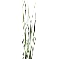 Horn textiles Jamaika 30 Fl�chenvorhang digital bedruckt (Breite: 43 cm, H�he: 245 cm)