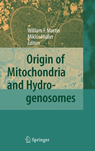 origin of mitochondria and hydrogenosomes
