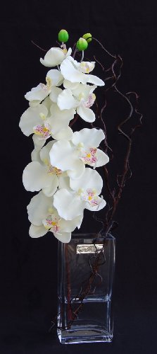 European Designer White Silk Phalaenopsis in a Rectangle Vase