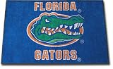 Florida Gators Tailgater Indoor / Outdoor Rug