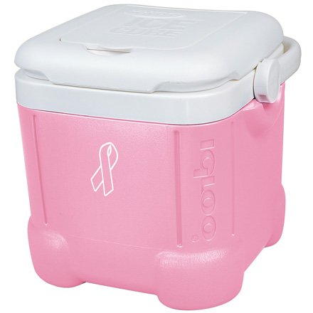 Igloo Ice Cube - Pink (12-qt.)
