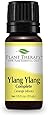 Ylang Ylang Complete Essential Oil. 10 ml. 100% Pure, Undiluted, Therapeutic Grade.