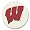 Wisconsin Badgers