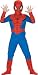 Search : Classic Spiderman Halloween Costume