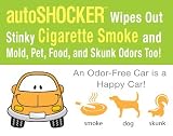 Auto Shocker ClO2 car interior odor eliminator