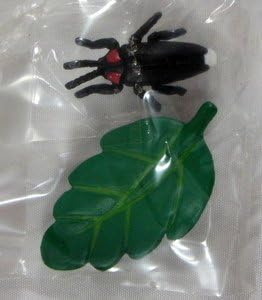 Plastic Black Japanese Beetle Insect In Cage Series - Epoch Japan Import