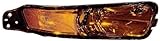 IMAGE OF Depo 330-1603R-US Ford Mustang Passenger Side Replacement Parking/Signal/Marker Lamp Unit