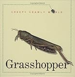 Grasshopper