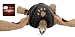 Small Pet Sleep & Play Octopus Bed