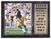 Brett Favre Farwell Plaque - Green Bay Packers