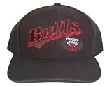 NBA Twin Enterprise Chicago Bulls Hat