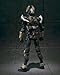 S.I.C. Ultimate Soul Masked Rider Kamen Rider Agito Grand Form [JAPAN]