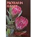 Proteas in Hawaii