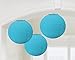 Amscan Round Paper Lanterns, 9.5