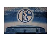 FC Schalke 04 Fahne "Veltins-Arena" - 