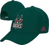 Milwaukee Bucks Basic Logo Cotton Primary Adjustable Hat