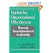 Improving Organizational Effectiveness through Transformational Leadership