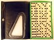 Double Six Standard Dominoes Set of 28-Green Case with White Tiles