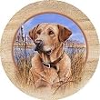 Killens Yellow Lab - Sandstone Thirstystone Coasters
