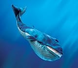 kids and infants educational toys item: Whale, Blue Hand Puppet
