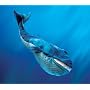 Whale, Blue Hand Puppet