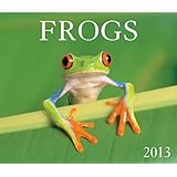frogs 2013