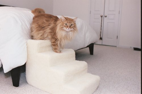 Pet Stairs Petstairz 4 Step High Density Foam Pet Step and Pet Stair with Beige Removable and Washable High Curly Pile Shearling Cover for Pets up to 50 Lbs.