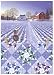 Rebecca Barker The Wreath Quiltscapes Christmas Holiday Set of 6 Cards 5" x 7"