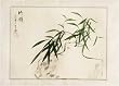Chinese Sumi-e Brush Painting Art, Watercolor on Paper - Flower Vase Still Life