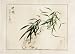Chinese Sumi-e Brush Painting Art, Watercolor on Paper - Flower Vase Still Life