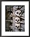 Bones Of Monks And Plague Victims In Chapel Cellar Of Ossuary In Sedlec Cloister, Czech Republic Styles Framed Art Poster Print by Martin Moos, 18x22