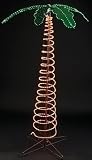 7' Lighted Deluxe Tropical Holographic Rope Light Palm Tree with Brown Trunk