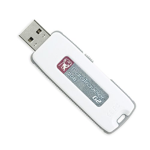 キングストン USBメモリ 2GB Kingston (DTIG2/2GB)