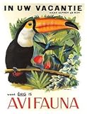World Travel Poster Avifauna Bird Park Holland Toucan 9 inch by 12 inch