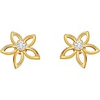 0.08 ct Daimond Star Earring