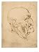 Profile of a Bald Man, Pen Drawing on White Yellowed Paper, Biblioteca Ambrosiana, Milan Giclee Poster Print by Leonardo da Vinci, 9x12