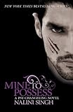 Mine to possess : a psy-changeling novel