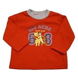 Brand New Disney WInnie the Pooh Baby Red Sweater