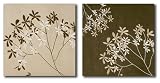 LC Design Company Set of 2 Floral Neutral Wall Art