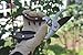 Bionic Rose Gardening Gloves - Women's ALL SIZES