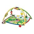 Baby Einstein Seek & Discover Activity Gym