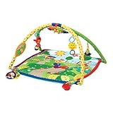Baby Einstein Seek & Discover Activity Gym