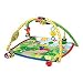 Baby Einstein Seek & Discover Activity Gym