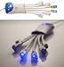 Flexity PowerSquid Calamari Surge Protector, White