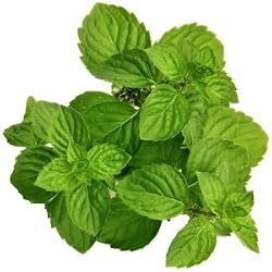 spearmint flavor extract
