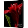 Visit This External Website