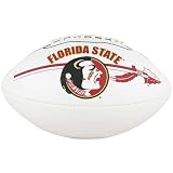 Florida State Seminoles (FSU) Official Size Autograph Football