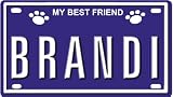41B%2B0kUMidL. SL160  BRANDI Dog Name Plate for Dog House. Over 400 Names Availaible. Type in Name Dog Plate in Search. Your Dog Name will show up.