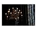 All kind of light Religion & Philosophy Photographic Poster Print by Oni X, 24x20